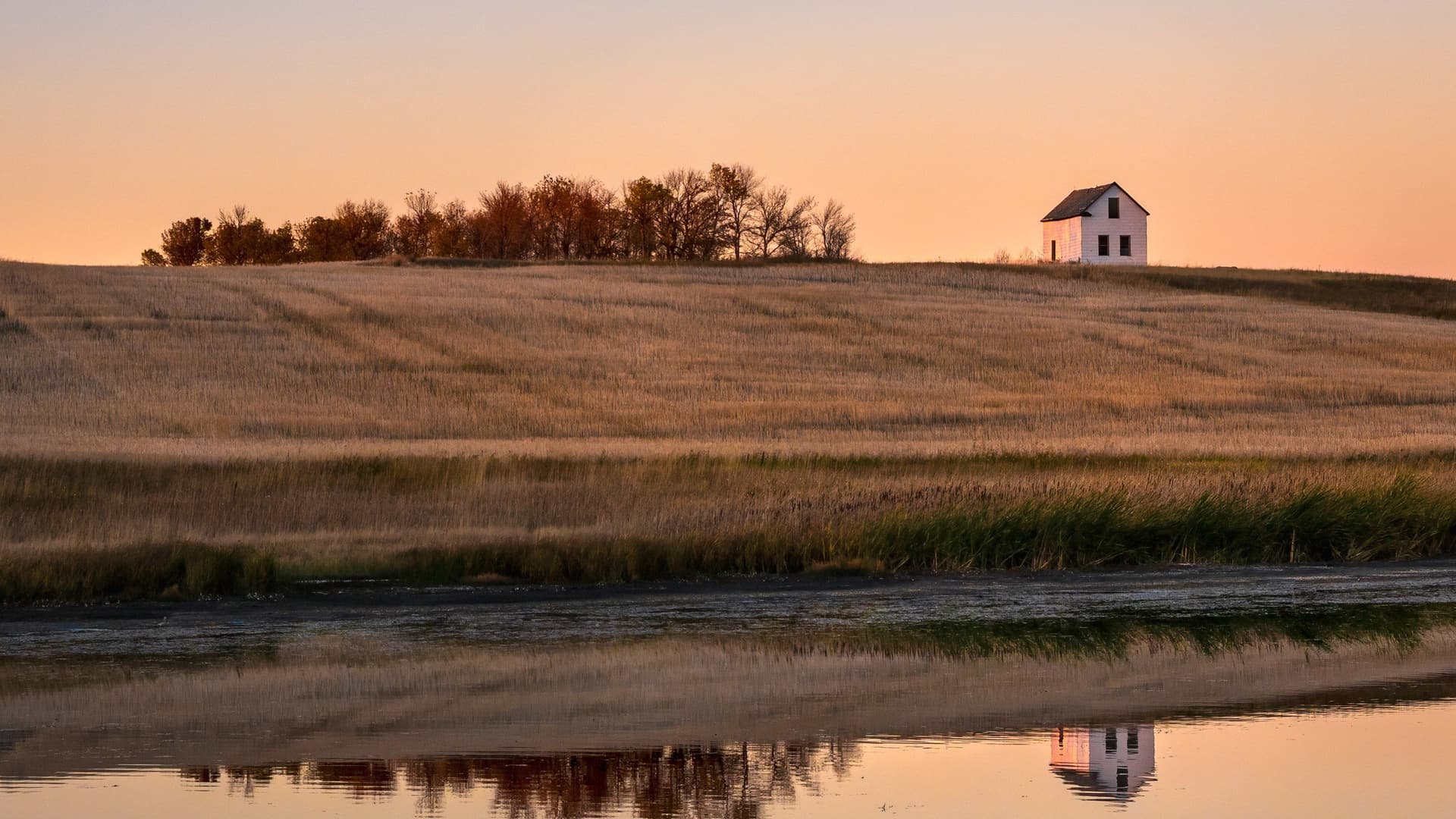 Crisis Hereditaria: La Bomba de Tiempo Inmobiliaria de 124 Billones